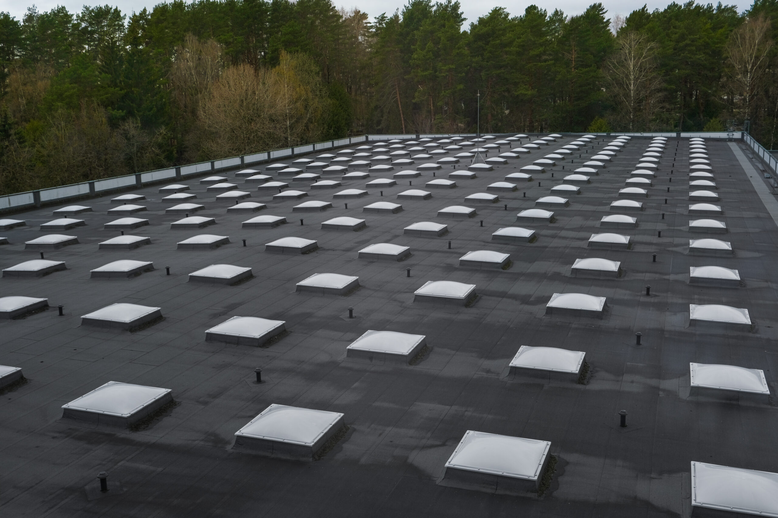 Black flat roof with skylights