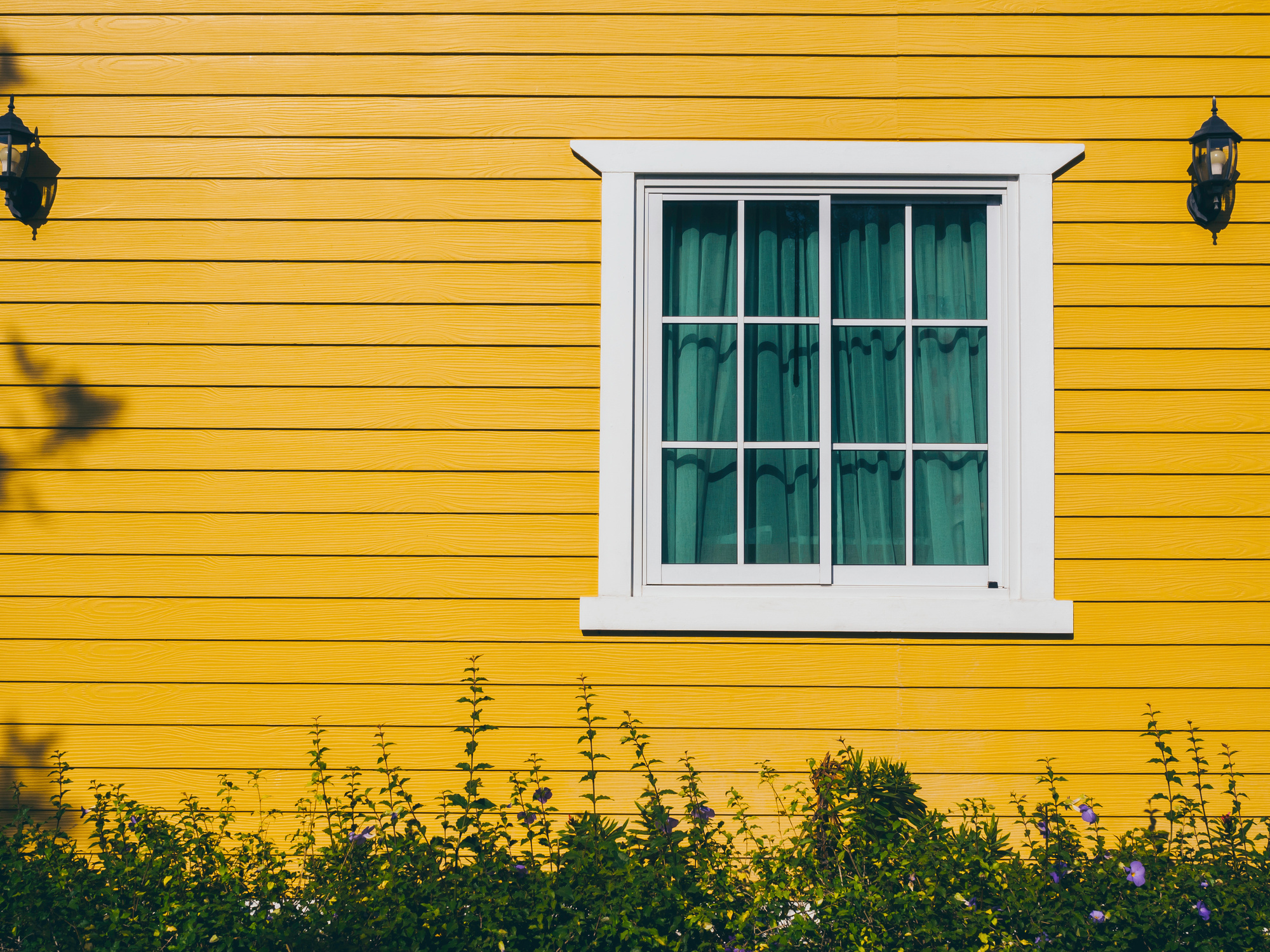 Yellow siding on a house with a white window