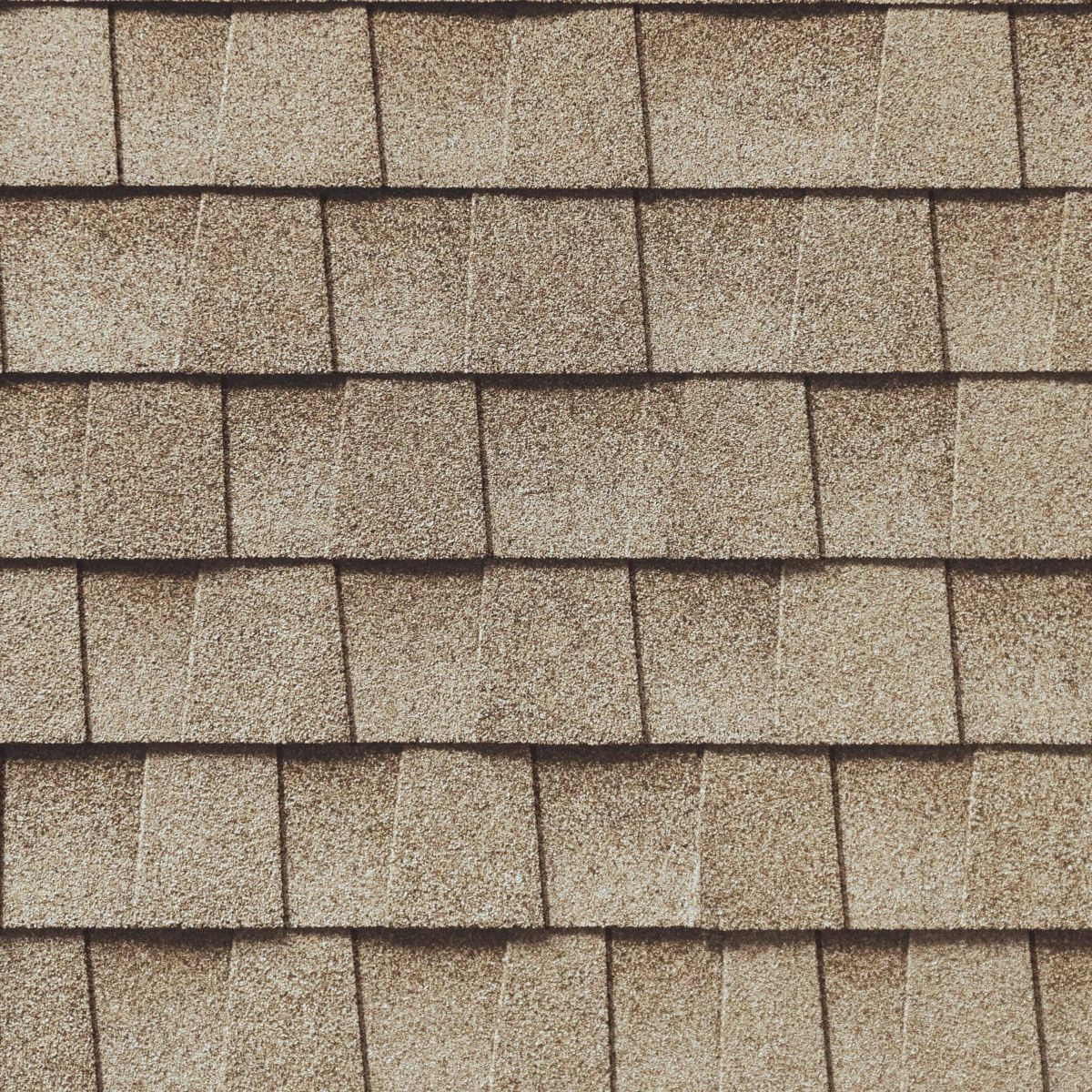 BCS Roofing & Solar Images