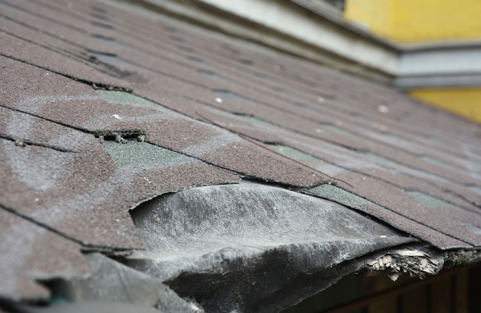BCS Roofing & Solar Images
