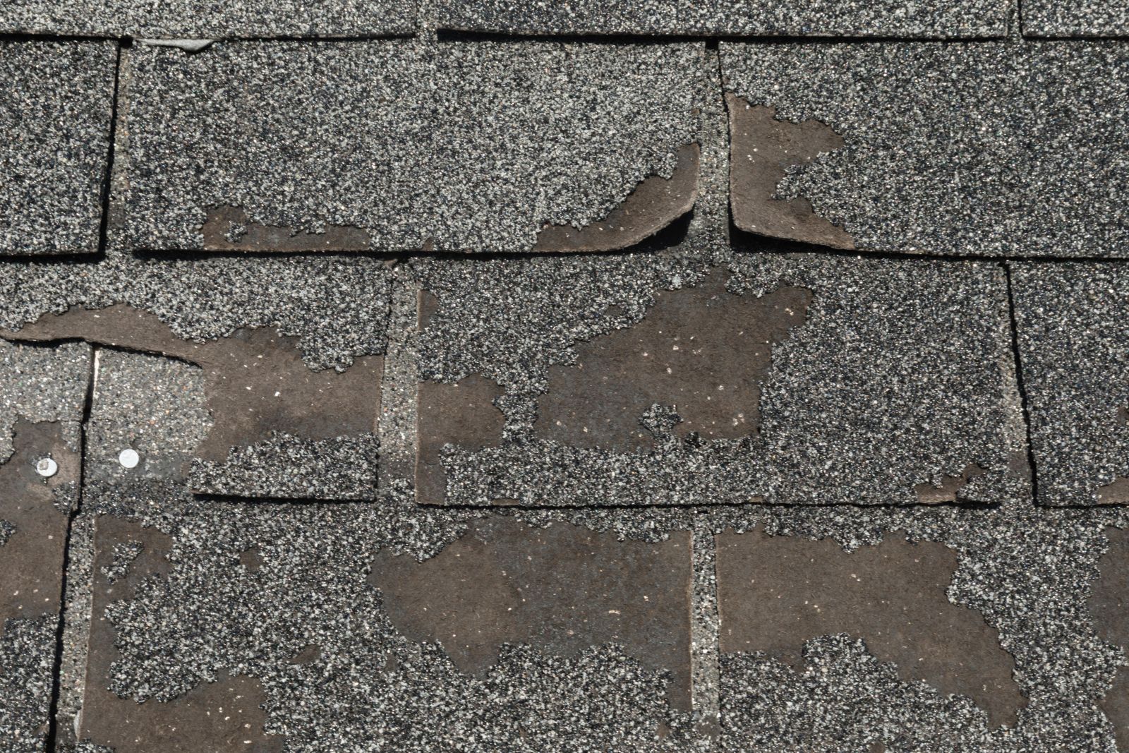 BCS Roofing & Solar Images